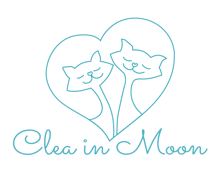 Cleain Moon Macji Hotel Logo